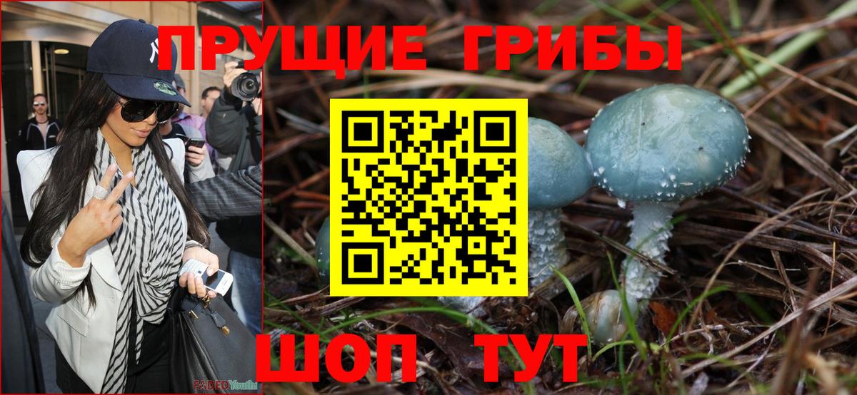 Галлюциногенные грибы Psilocybine cubensis  Псилоцибиновые грибы Magic Shrooms  Вход с VPN  купить   Владикавказ 